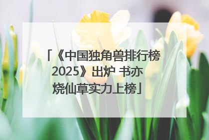 《中国独角兽排行榜2025》出炉 书亦烧仙草实力上榜