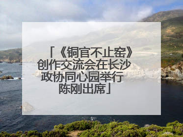 《铜官不止窑》创作交流会在长沙政协同心园举行 陈刚出席