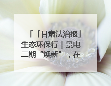 「甘肃法治报」生态环保行｜景电二期“焕新”，在荒漠上筑起一道绿色长城