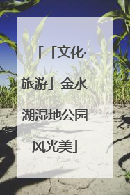 「文化·旅游」金水湖湿地公园风光美