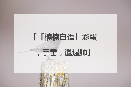 「楠楠自语」彩蛋，手雷，邋遢帅