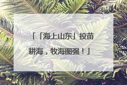 「海上山东」投苗耕海，牧海图强！
