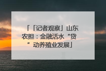 「记者观察」山东农担：金融活水“贷”动养殖业发展