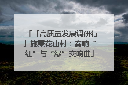 「高质量发展调研行」施秉花山村：奏响“红”与“绿”交响曲