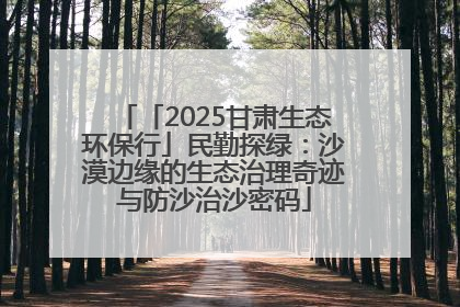 「2025甘肃生态环保行」民勤探绿：沙漠边缘的生态治理奇迹与防沙治沙密码