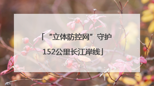 “立体防控网”守护152公里长江岸线