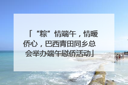 “粽”情端午，情暖侨心，巴西青田同乡总会举办端午慰侨活动