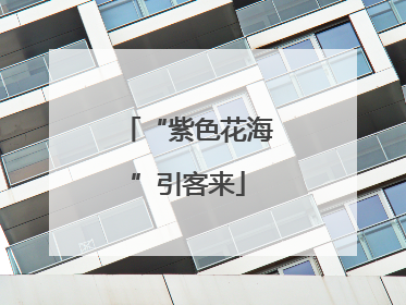 “紫色花海”引客来