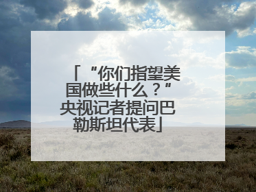 “你们指望美国做些什么？”央视记者提问巴勒斯坦代表