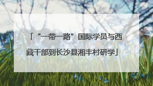“一带一路”国际学员与西藏干部到长沙县湘丰村研学