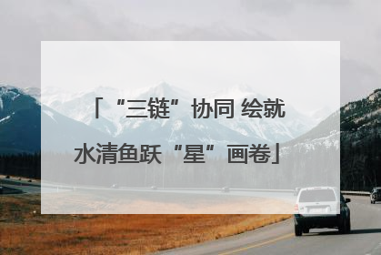 “三链”协同 绘就水清鱼跃“星”画卷