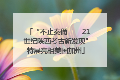 “不止秦俑——21世纪陕西考古新发现”特展亮相美国加州