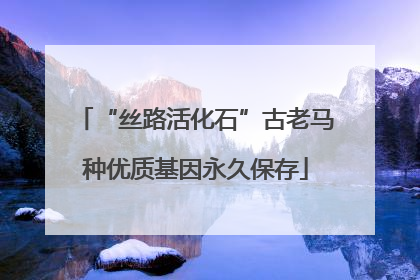 “丝路活化石”古老马种优质基因永久保存