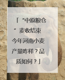 “中原粮仓”麦收结束 今年河南小麦产量咋样？品质如何？