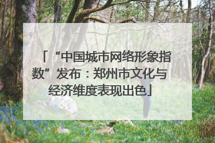 “中国城市网络形象指数”发布：郑州市文化与经济维度表现出色
