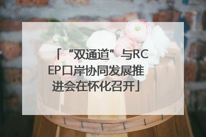 “双通道”与RCEP口岸协同发展推进会在怀化召开