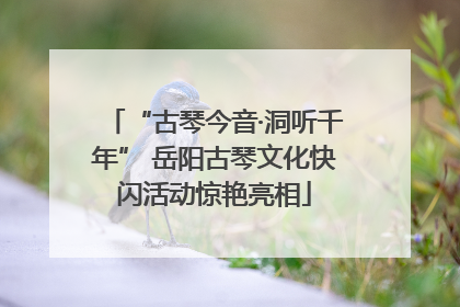 “古琴今音·洞听千年” 岳阳古琴文化快闪活动惊艳亮相