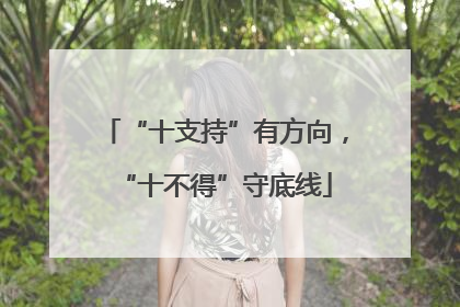 “十支持”有方向，“十不得”守底线