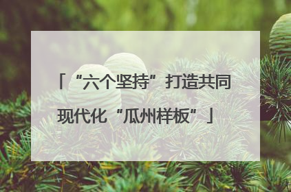 “六个坚持”打造共同现代化“瓜州样板”