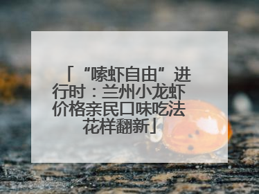“嗦虾自由”进行时：兰州小龙虾价格亲民口味吃法花样翻新