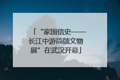 “家国信史——长江中游简牍文物展”在武汉开幕