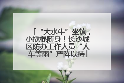 “大水牛”坐镇，小撬棍随身！长沙城区防办工作人员“人车等雨”严阵以待