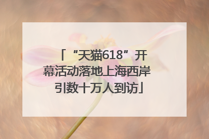 “天猫618”开幕活动落地上海西岸 引数十万人到访