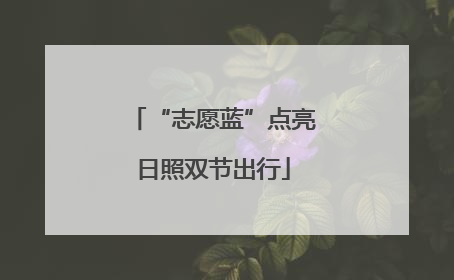 “志愿蓝”点亮日照双节出行