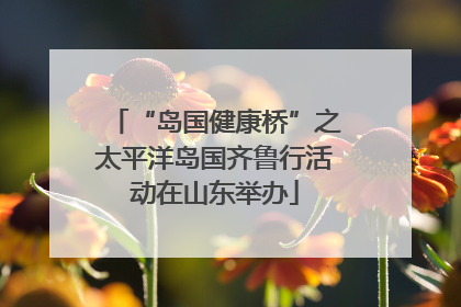 “岛国健康桥”之太平洋岛国齐鲁行活动在山东举办