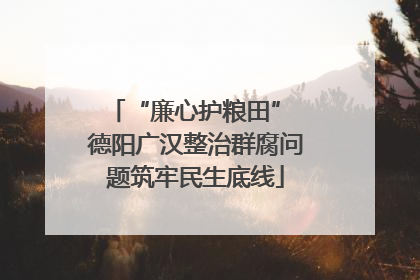 “廉心护粮田” 德阳广汉整治群腐问题筑牢民生底线