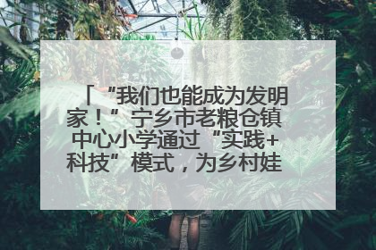 “我们也能成为发明家！”宁乡市老粮仓镇中心小学通过“实践+科技”模式，为乡村娃探索教育新路径