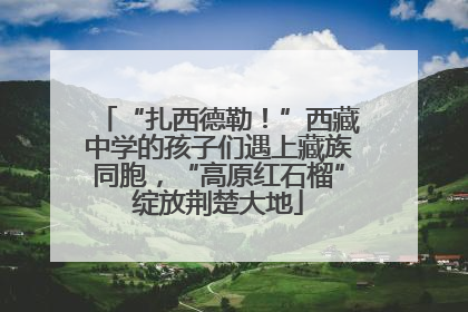 “扎西德勒！”西藏中学的孩子们遇上藏族同胞，“高原红石榴”绽放荆楚大地