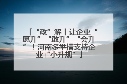 “政”解丨让企业“愿升”“敢升”“会升”！河南多举措支持企业“小升规”