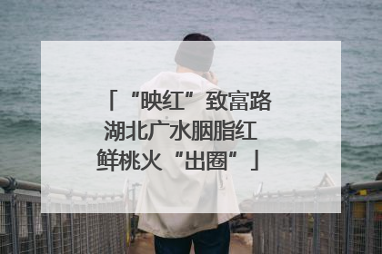“映红”致富路 湖北广水胭脂红鲜桃火“出圈”