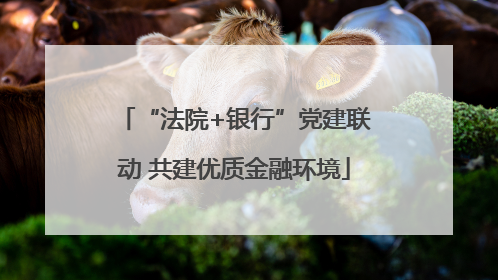 “法院+银行”党建联动 共建优质金融环境