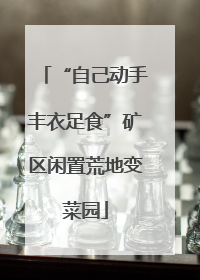 “自己动手丰衣足食”矿区闲置荒地变菜园