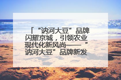 “讷河大豆”品牌闪耀京城，引领农业现代化新风尚——“讷河大豆”品牌新发地推介会圆满落幕
