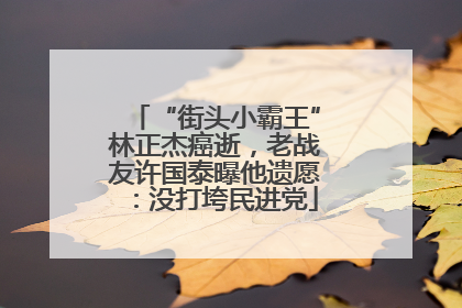 “街头小霸王”林正杰癌逝，老战友许国泰曝他遗愿：没打垮民进党