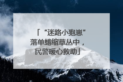 “迷路小狍崽”落单蜷缩草丛中，民警暖心救助