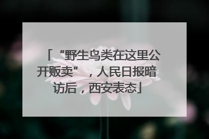 “野生鸟类在这里公开贩卖”，人民日报暗访后，西安表态