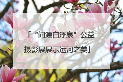 “问源白浮泉”公益摄影展展示运河之美