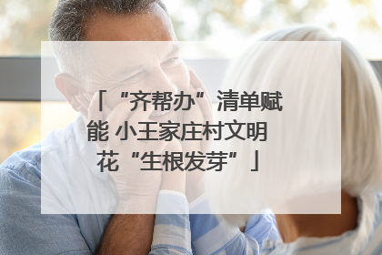 “齐帮办”清单赋能 小王家庄村文明花“生根发芽”