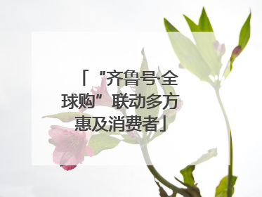 “齐鲁号·全球购”联动多方惠及消费者