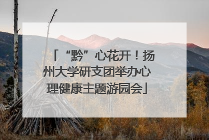 “黔”心花开！扬州大学研支团举办心理健康主题游园会
