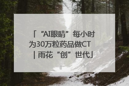 “AI眼睛”每小时为30万粒药品做CT｜雨花“创”世代