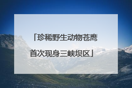珍稀野生动物苍鹰首次现身三峡坝区