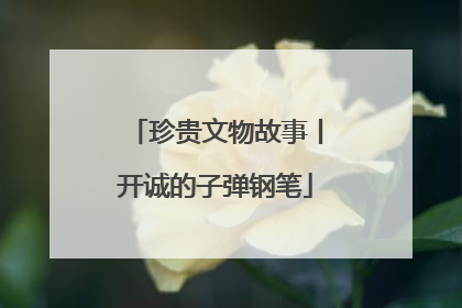 珍贵文物故事丨开诚的子弹钢笔