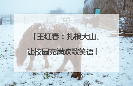 王红春：扎根大山、让校园充满欢歌笑语