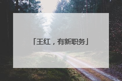 王红，有新职务
