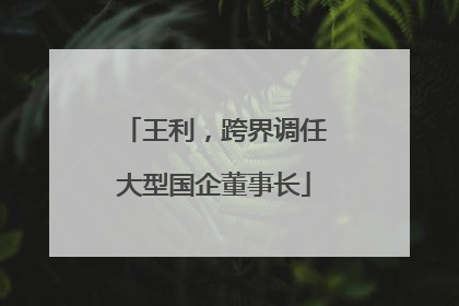 王利，跨界调任大型国企董事长